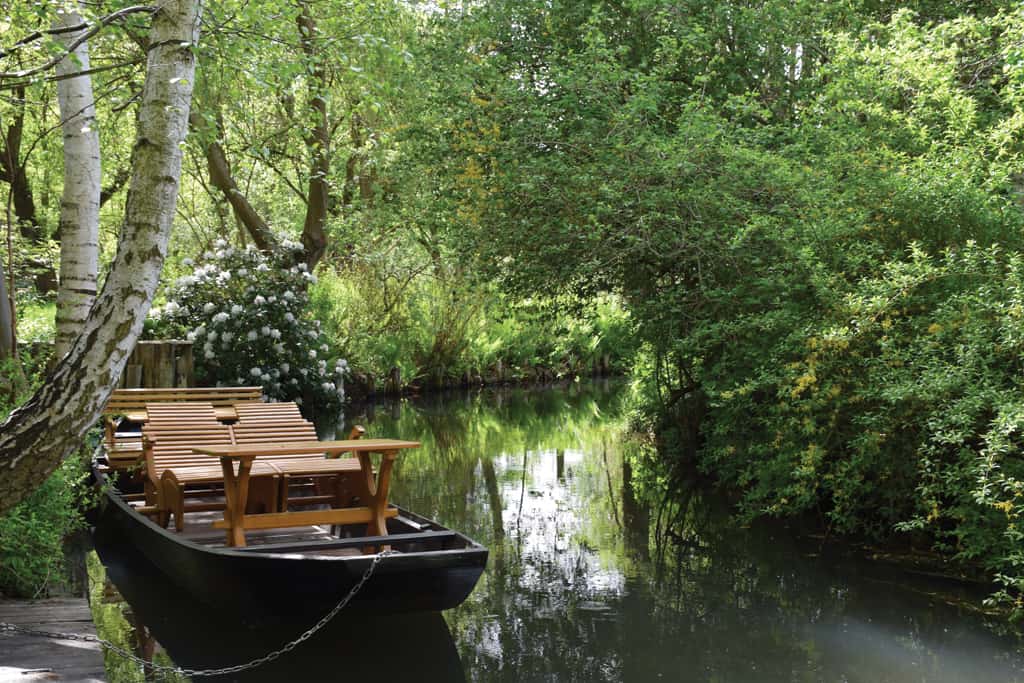 Spreewald Bilder Zum Ausdrucken: Spreewald Foto &amp; Bild