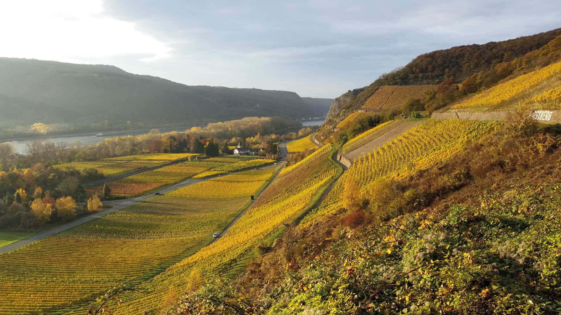 Früh Rhein Wein Boot 4 Buchstaben Besuchen Sie das Rhein-Wein-Wanderland - Reiseziele Deutschland