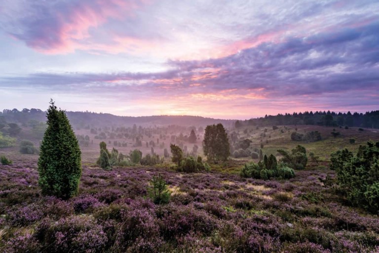 Urlaub in der Lüneburger Heide