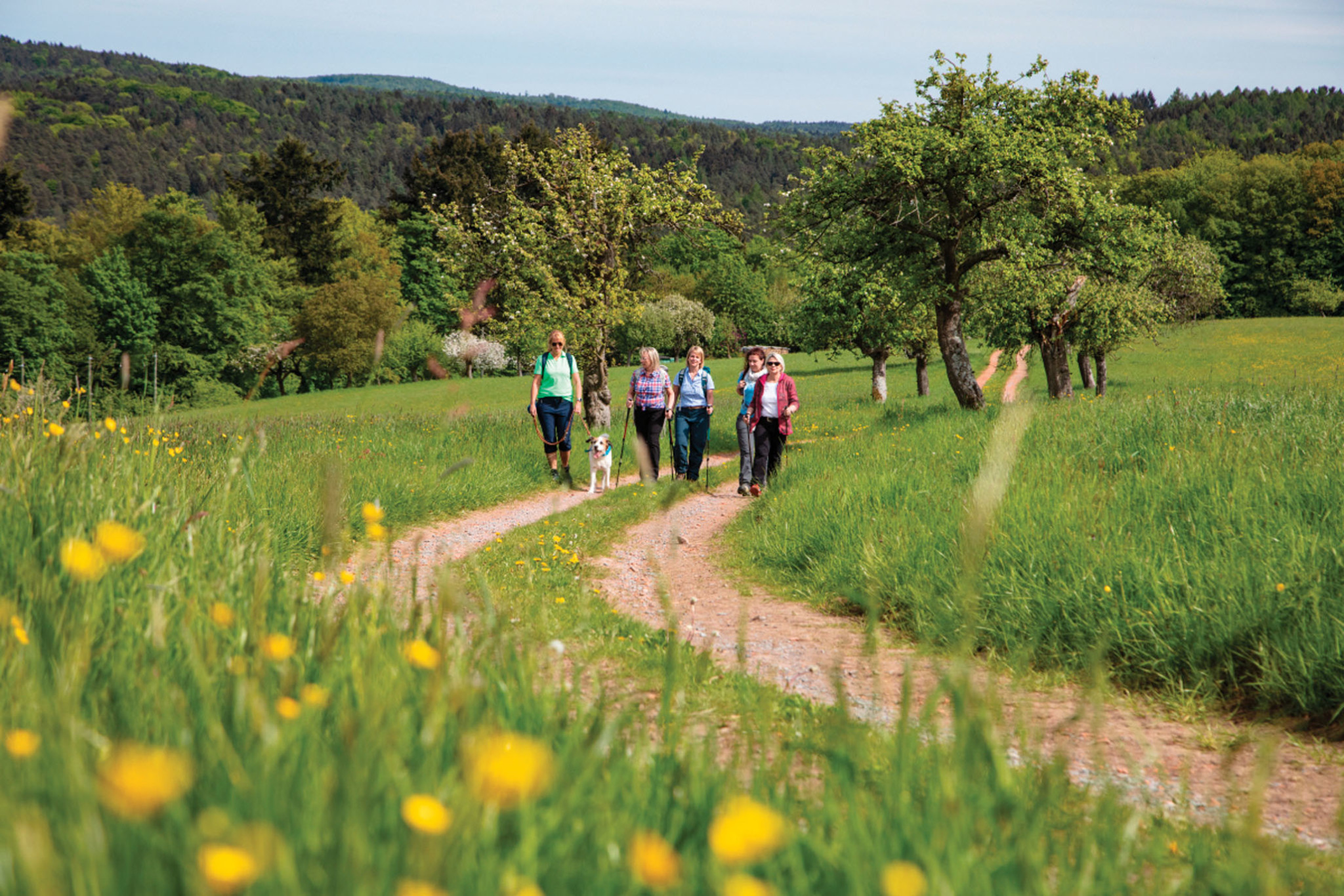 SpessartMainland Archive Reiseziele Deutschland