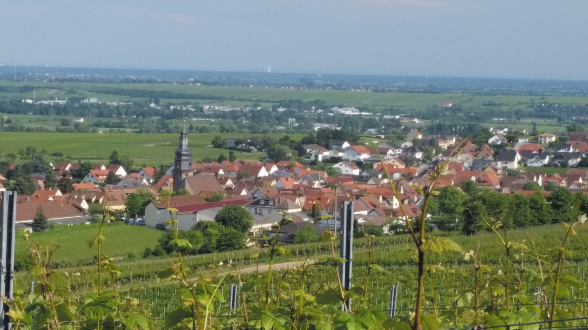 Kallstadt der Deutschen Weinstra  e Reiseziele Deutschland