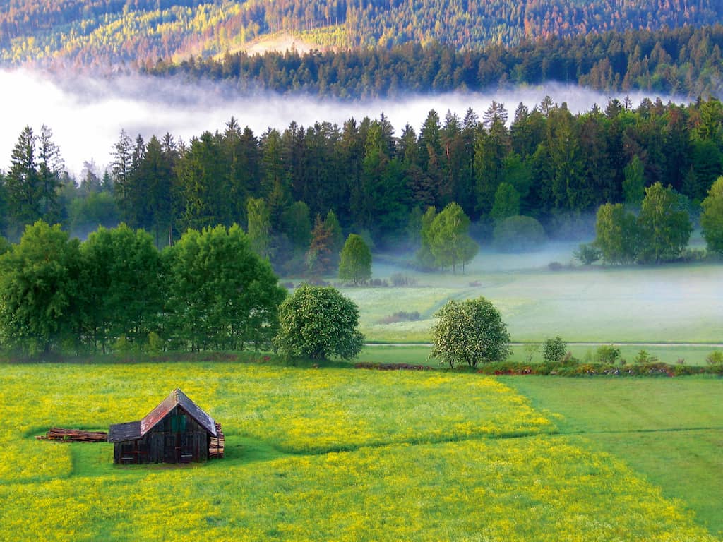 Einfach mal die Seele baumeln lassen? Im Nördlichen Schwarzwald können die Energiereserven wieder aufgefüllt werden. Neben sauberer Luft und reinem Quellwasser trägt auch der Blick auf die einzigartige Landschaft zur Entspannung bei. (Foto: epr/Tourismus GmbH Nördlicher Schwarzwald)