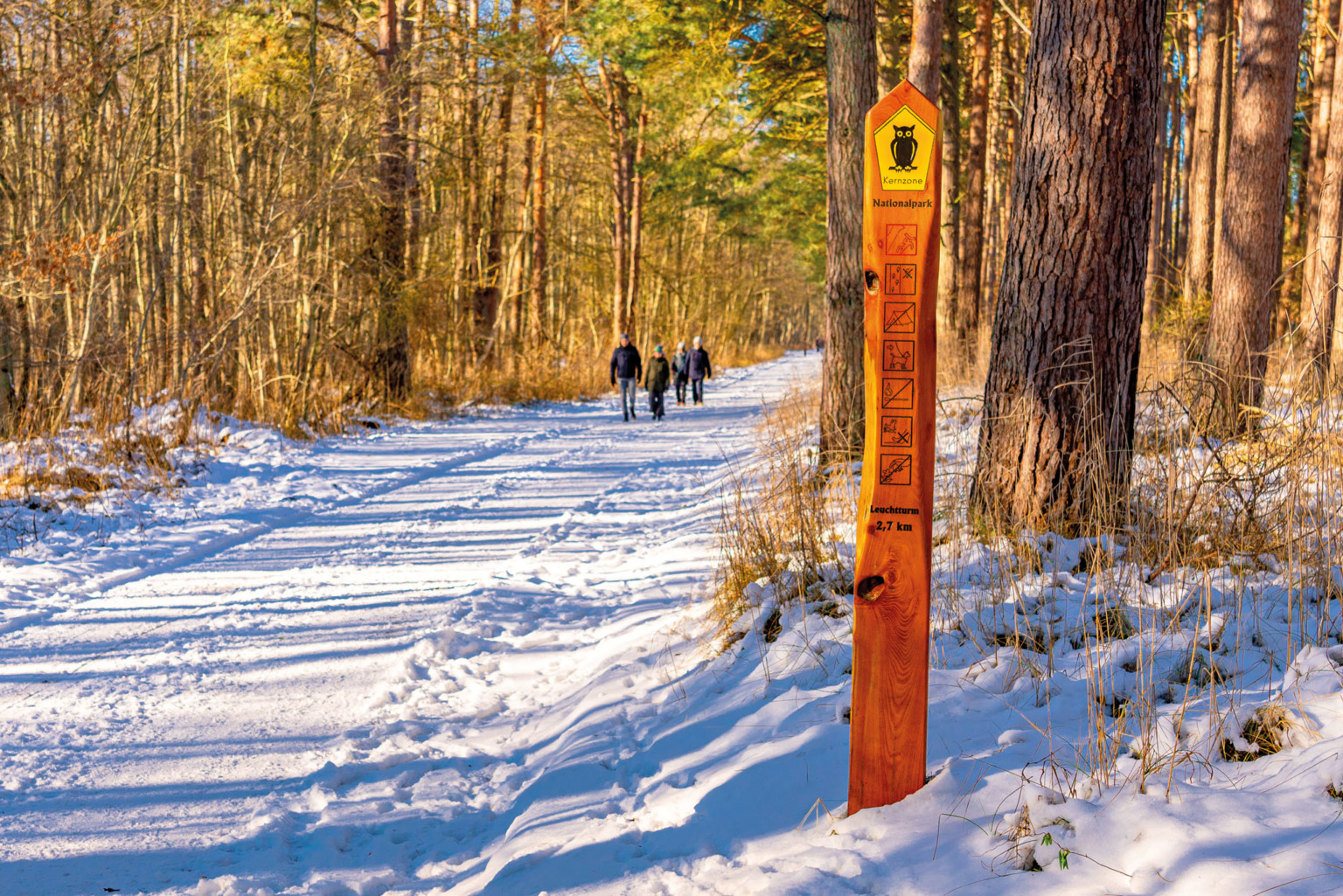 WinterAuszeit im Ostseeheilbad Zingst Reiseziele Deutschland