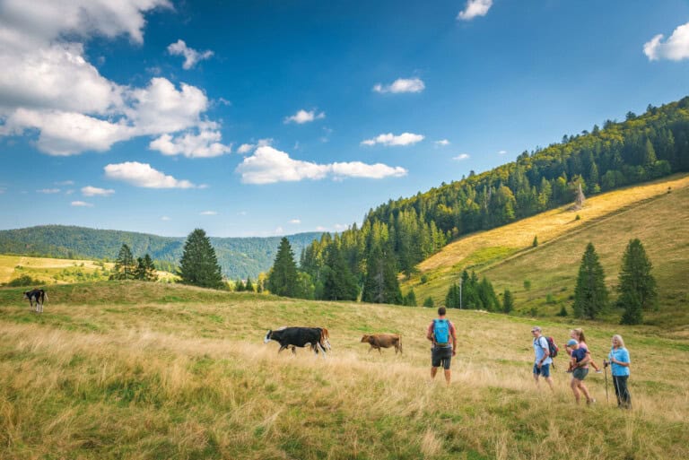 Wandern in Todtmoos: Natur, Kultur und Genuss im Südschwarzwald