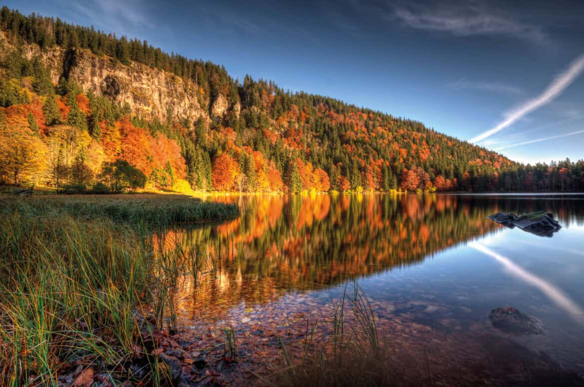 Naturschauspiele für Familien im Hochschwarzwald
