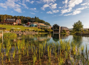 Pfalzblick Wald Spa Resort