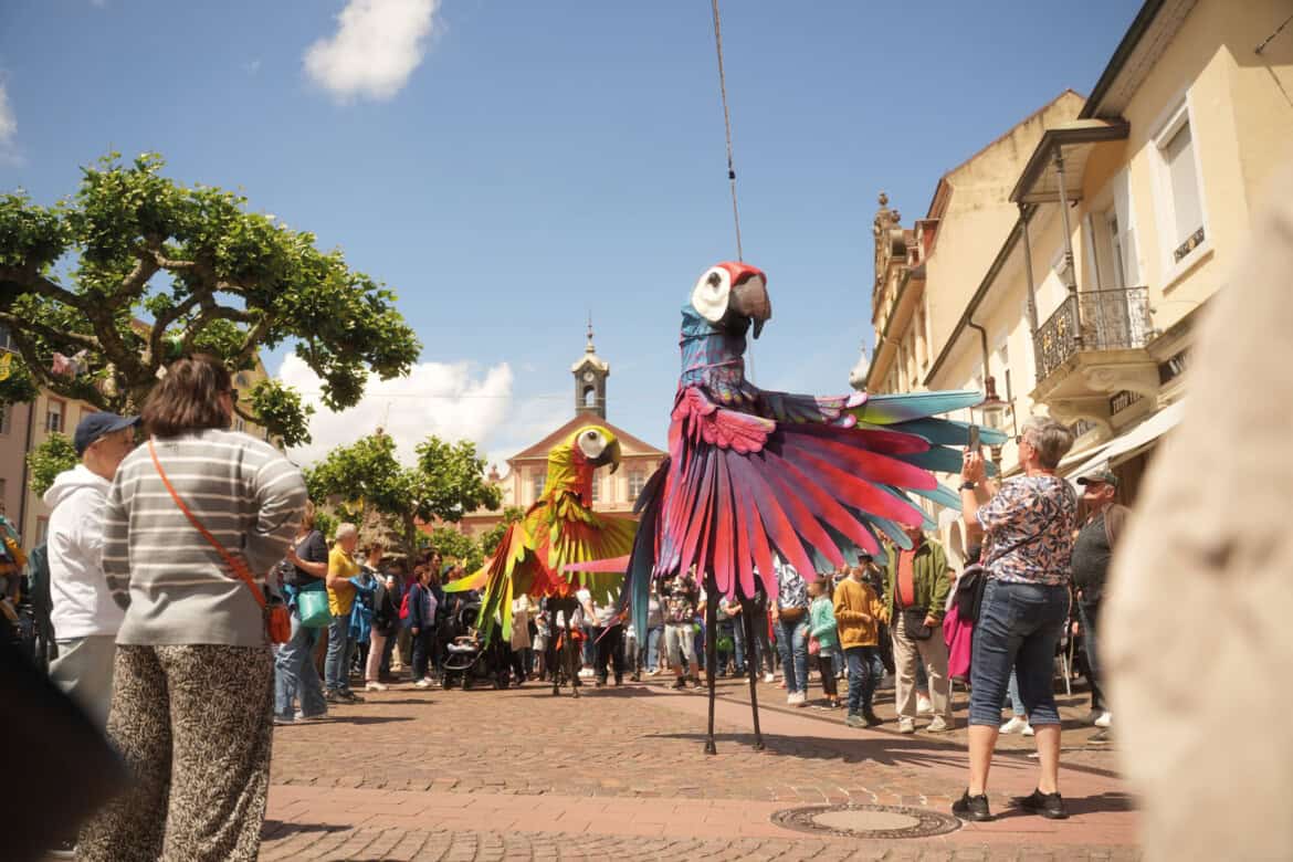 Der Kultursommer 2026 in Rastatt: Von Weltstars bis zum großem Straßentheaterfestival