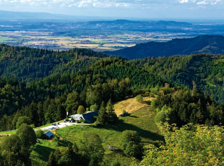 Der Schwarzwald für Vielseitige: Entdeckungen im Schwarzwaldsüden