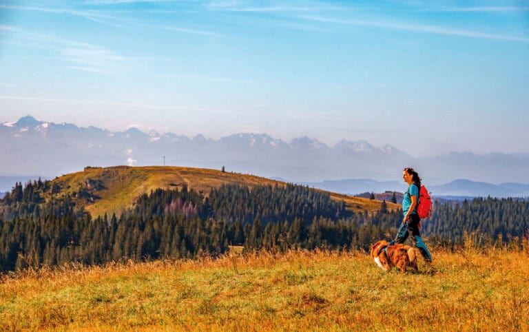 Auf Spurensuche: Wandern im Hochschwarzwald