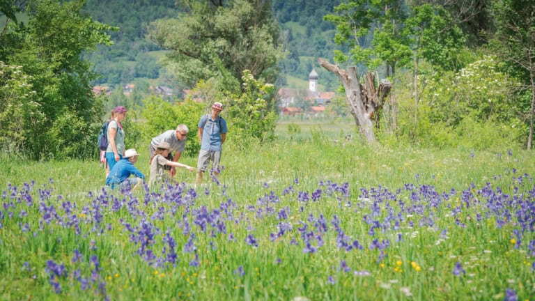 Der Naturpark Ammergauer Alpen